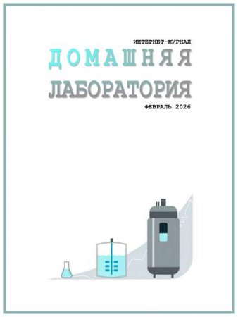 Домашняя лаборатория №2 (февраль 2026)